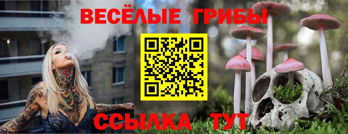Псилоцибиновые грибы Cubensis  Вход с VPN  Галлюциногенные грибы Cubensis  Нарткала 